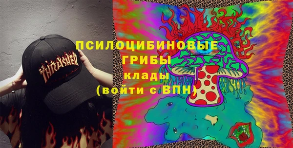 стаф Алзамай