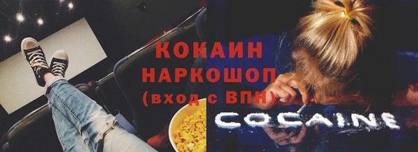 стаф Алзамай