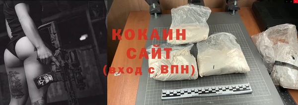 стаф Алзамай