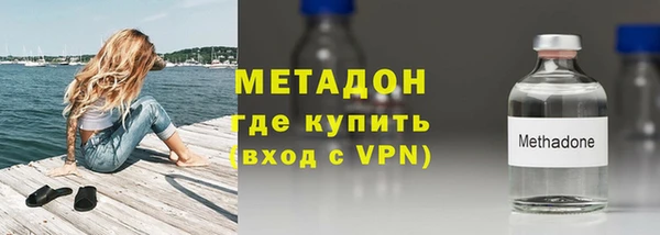 стаф Алзамай