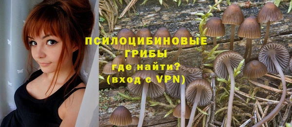прущие грибы Алексин