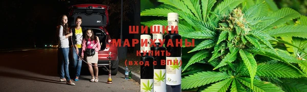 стаф Алзамай
