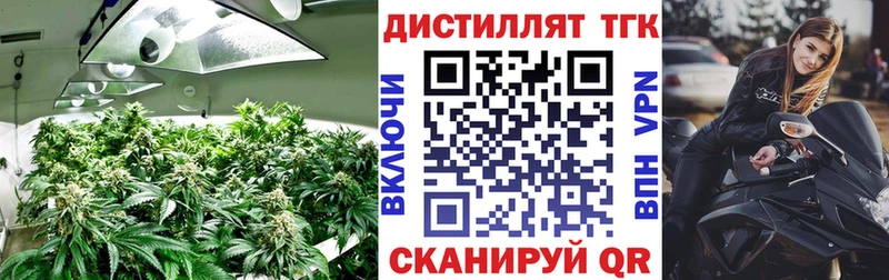 ТГК Wax  kraken онион  Ижевск 