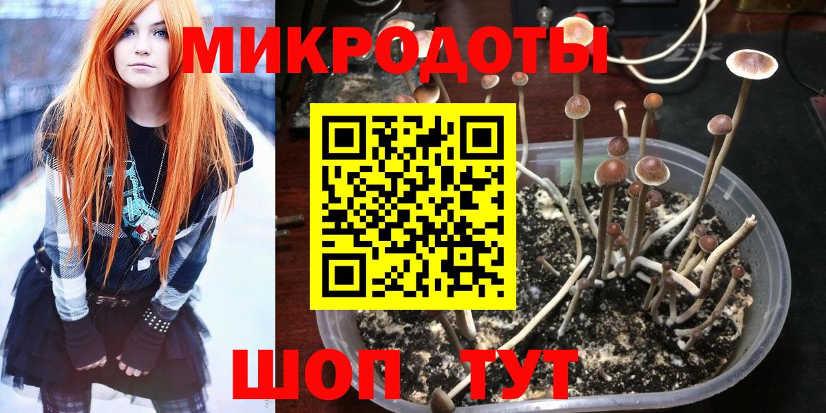 Псилоцибиновые грибы Psilocybine cubensis Ижевск